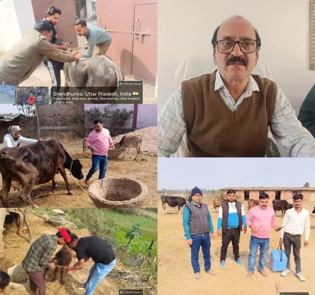 Sonbhadra News : जिले में 5.52 लाख पशुओं के वैक्सीनेशन का लक्ष्य, 12 दिनों में 55 हजार का हुआ एफएमडी टीकाकरण