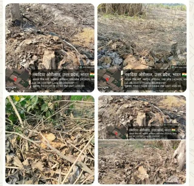 Shahjahanpur news : बिना परमिट काटे गए करीब दस सागौन के पेड़,वन विभाग तीन दिन से कर रहा टाल मटोल