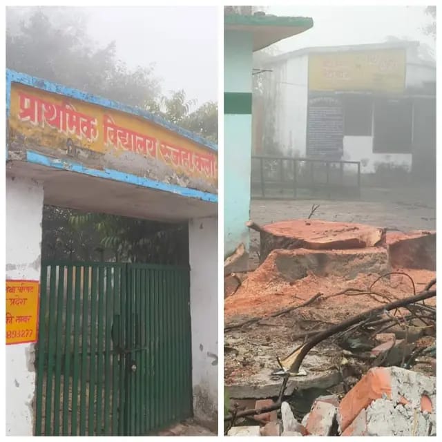 Shahjahanpur news : बिना प्रस्ताव कटवाया स्कूल परिसर में खड़ा शेमल का पेड़