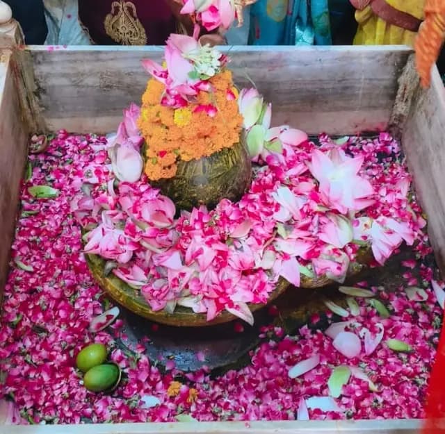 कथा श्रवण से होती है मन की शुद्धि, मिलती है मुक्ति: धानी शास्त्री